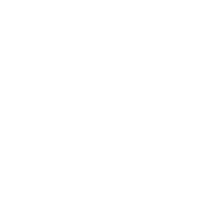 OGCdigital  logo